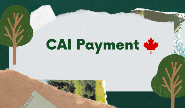 CAI Payment