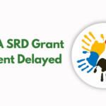 SASSA SRD Grant Payment Delayed? Here’s Your 7-Step Solution